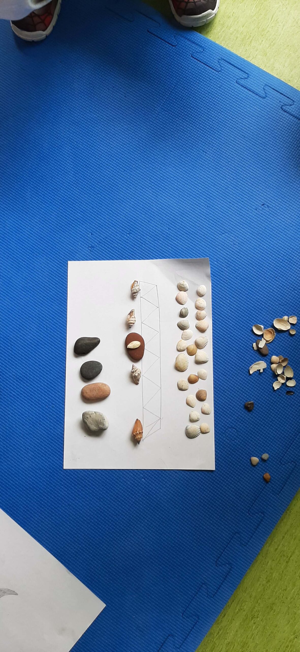 Projekt Naturalnie, że Froebel u Sportowców