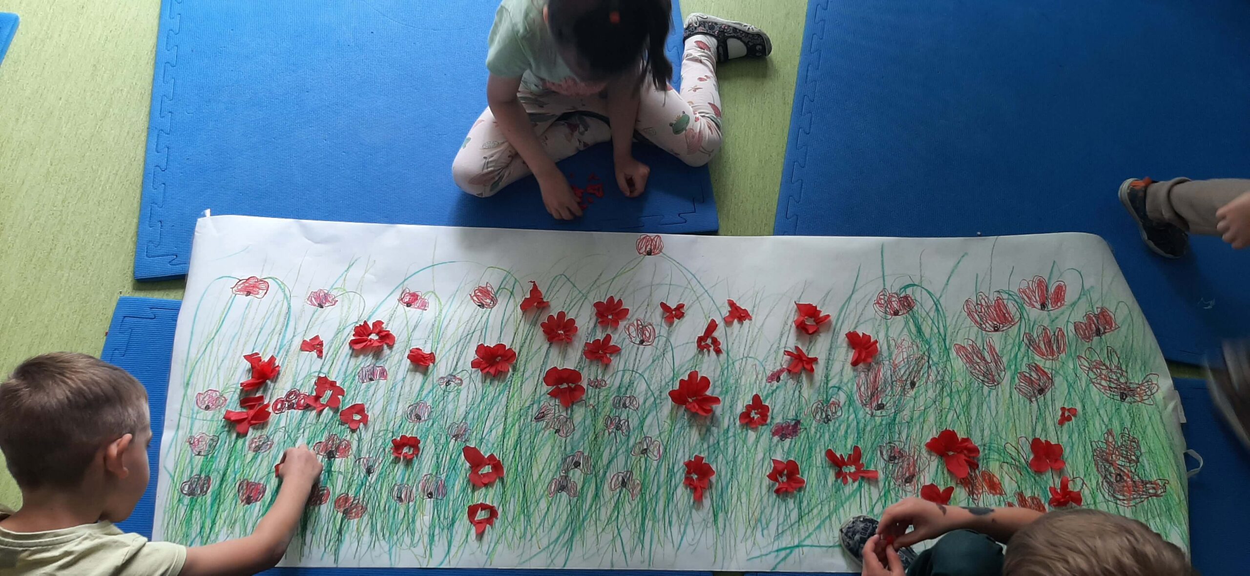 Makowa łąka Sportowców- projekt Naturalnie, że Froebel , zadanie 4