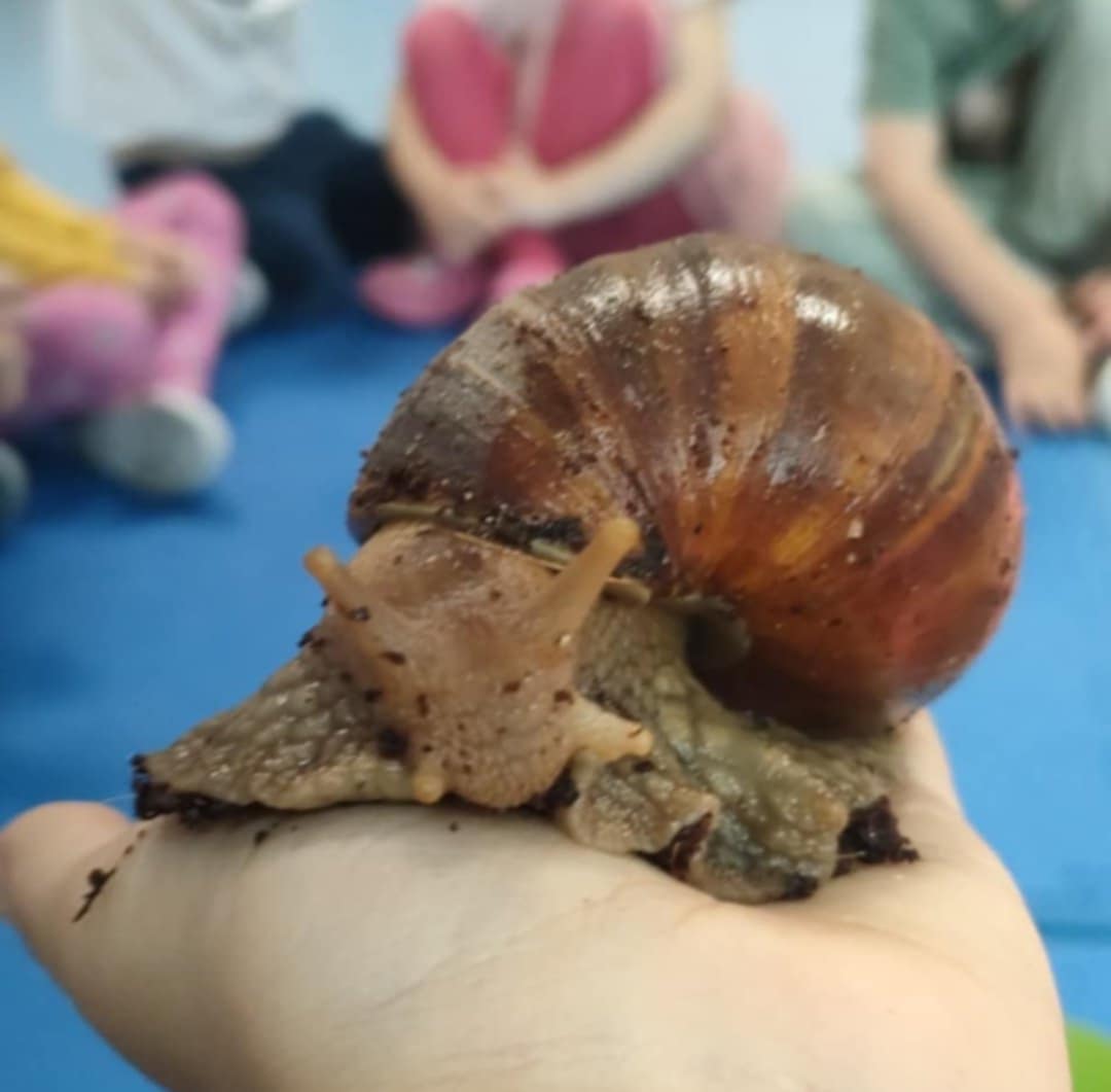 Dzień ślimaka u muzykantów