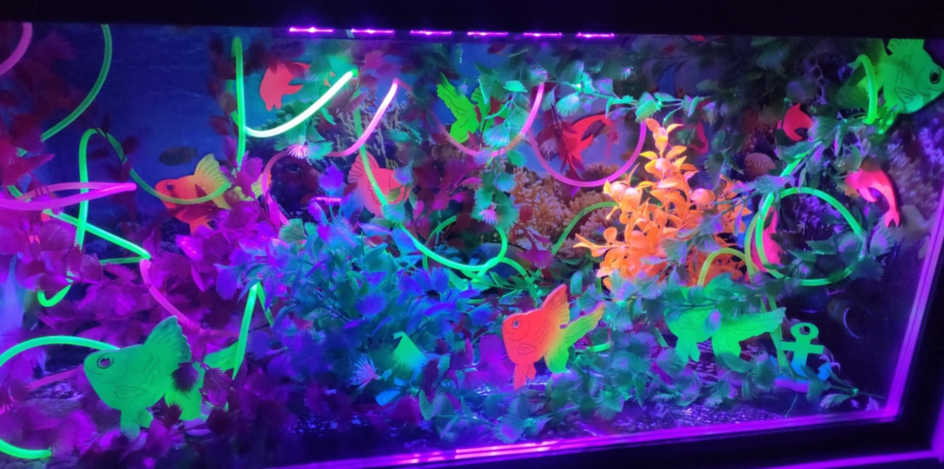 Wielozmysłowe doświadczenia