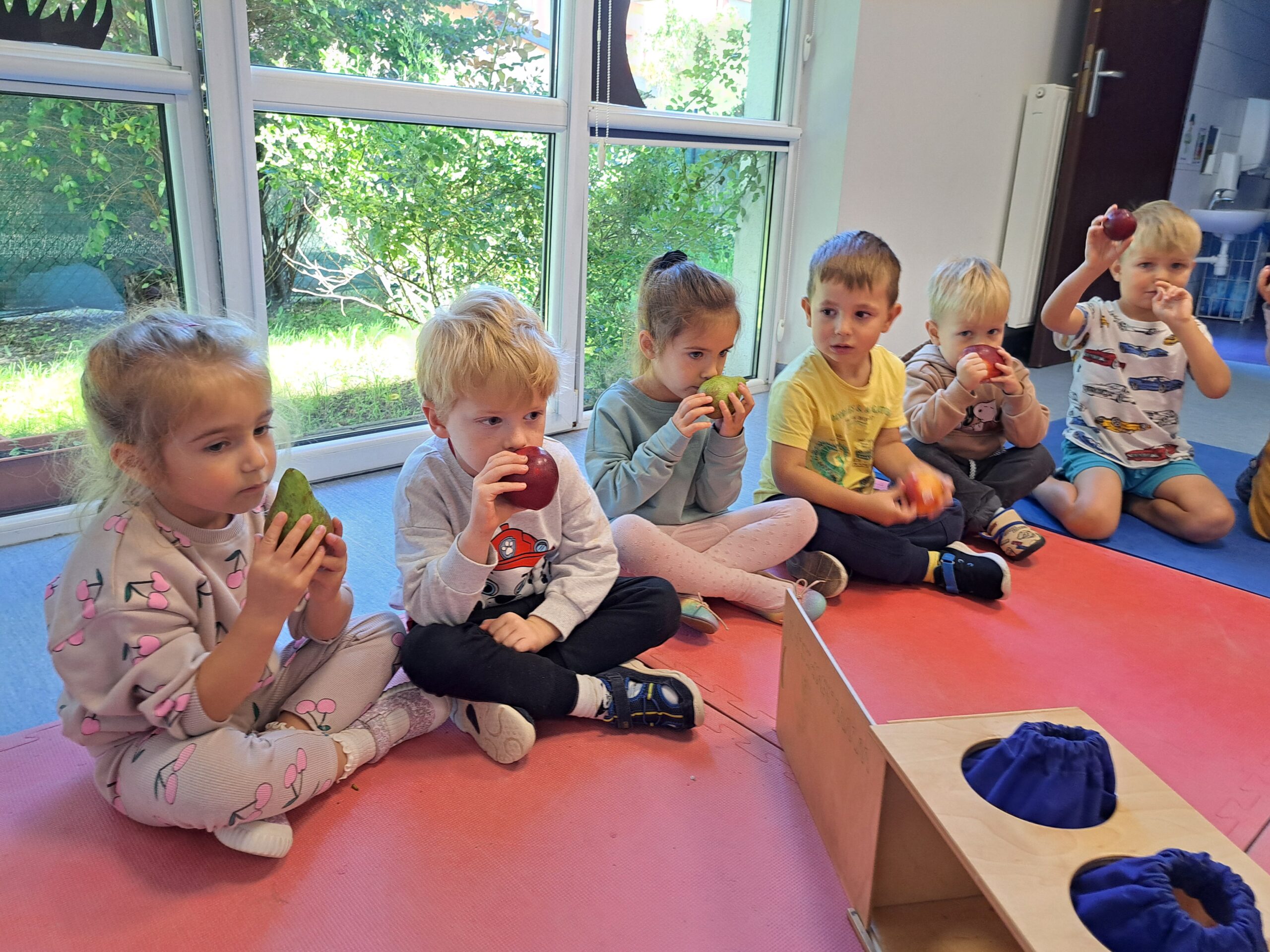 Muzykanci poznają owoce