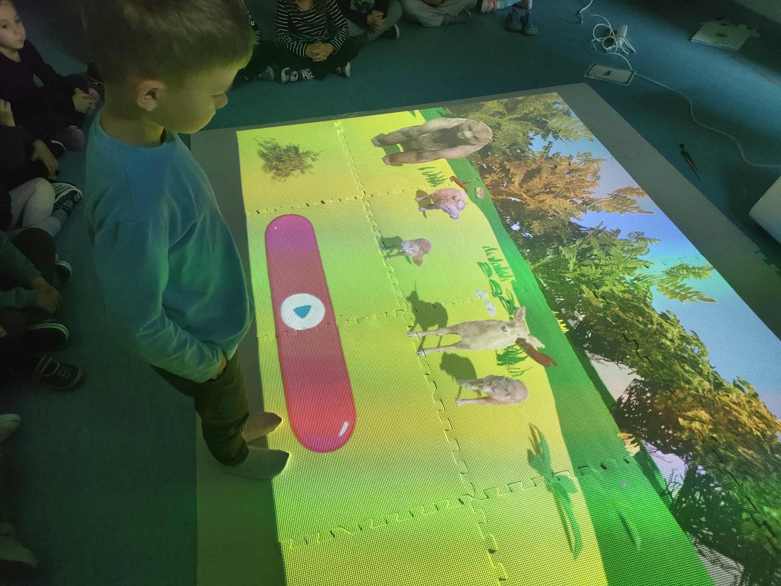 Odkrywcy na tropie leśnych zwierzęt