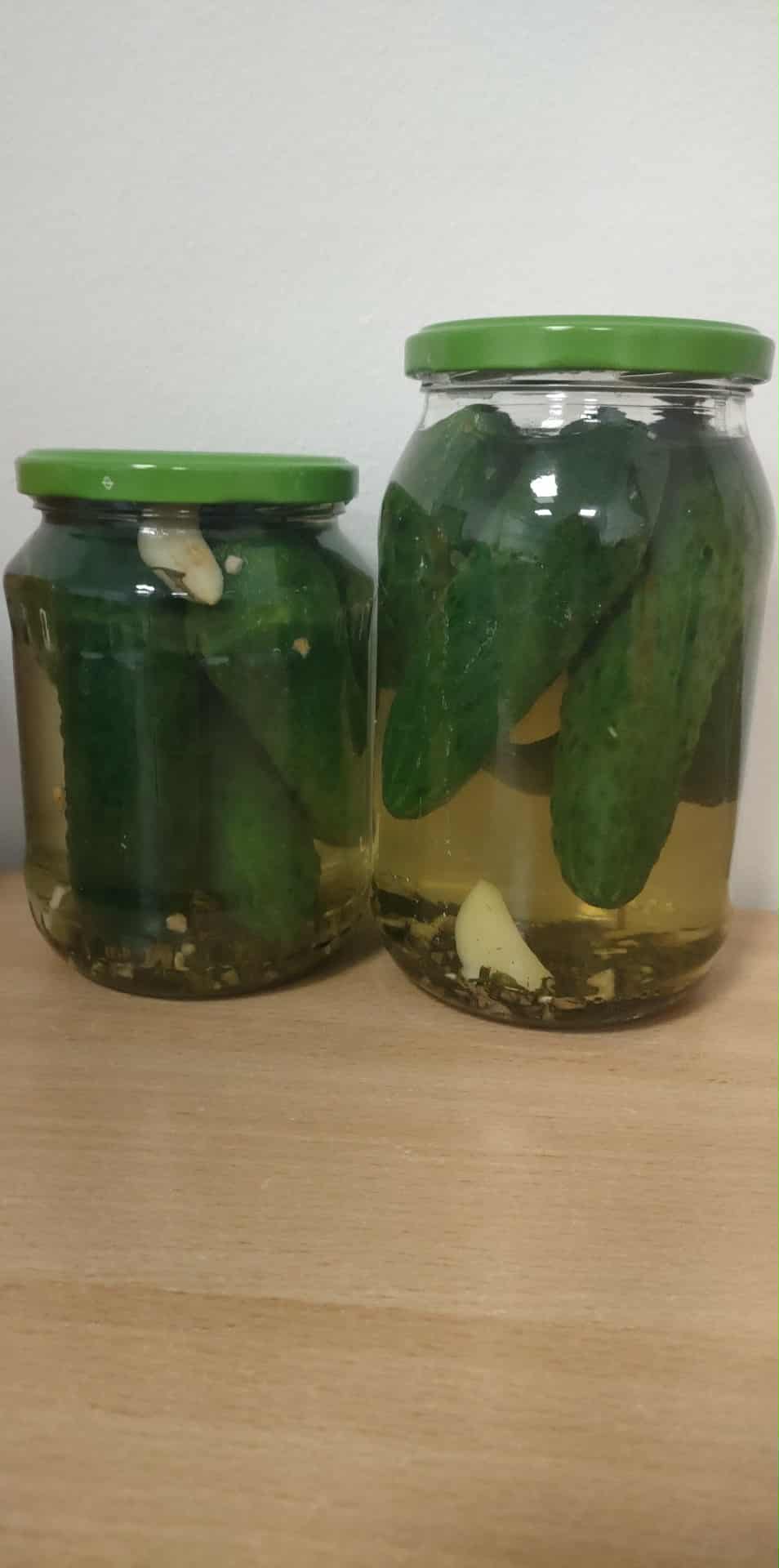 Ogórkowy piątek Odkrywców