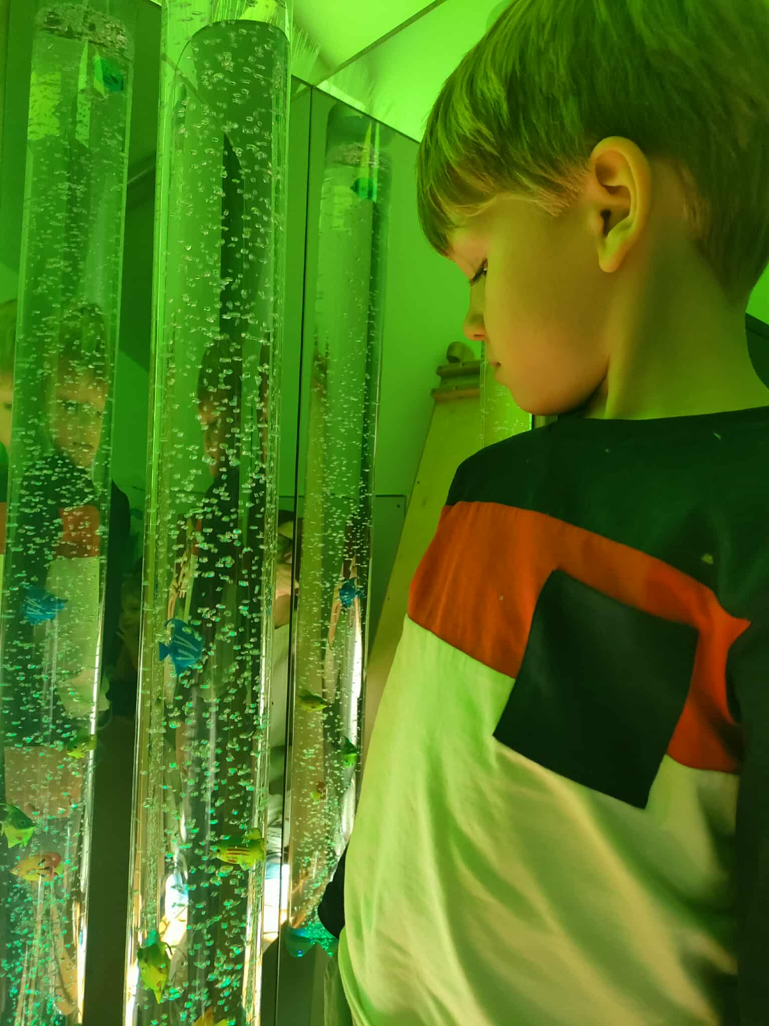 Odkrywcy poznają 5 zmysłów