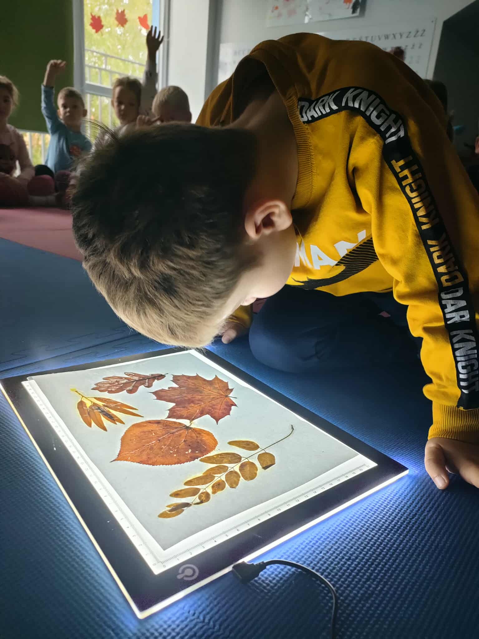 Jesienne inspiracje odkrywców