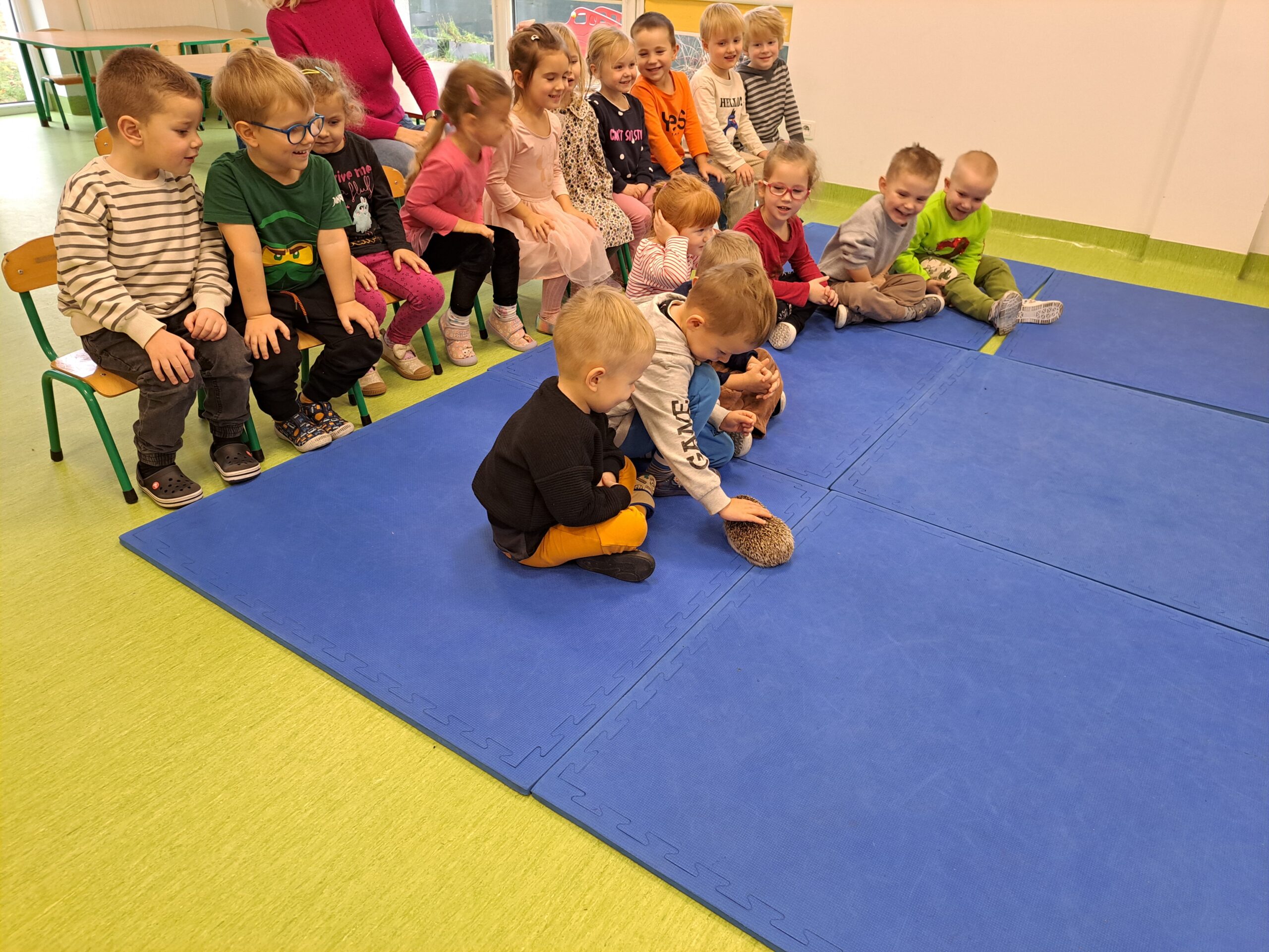 Spotkanie Muzykantów z jeżem afrykańskim