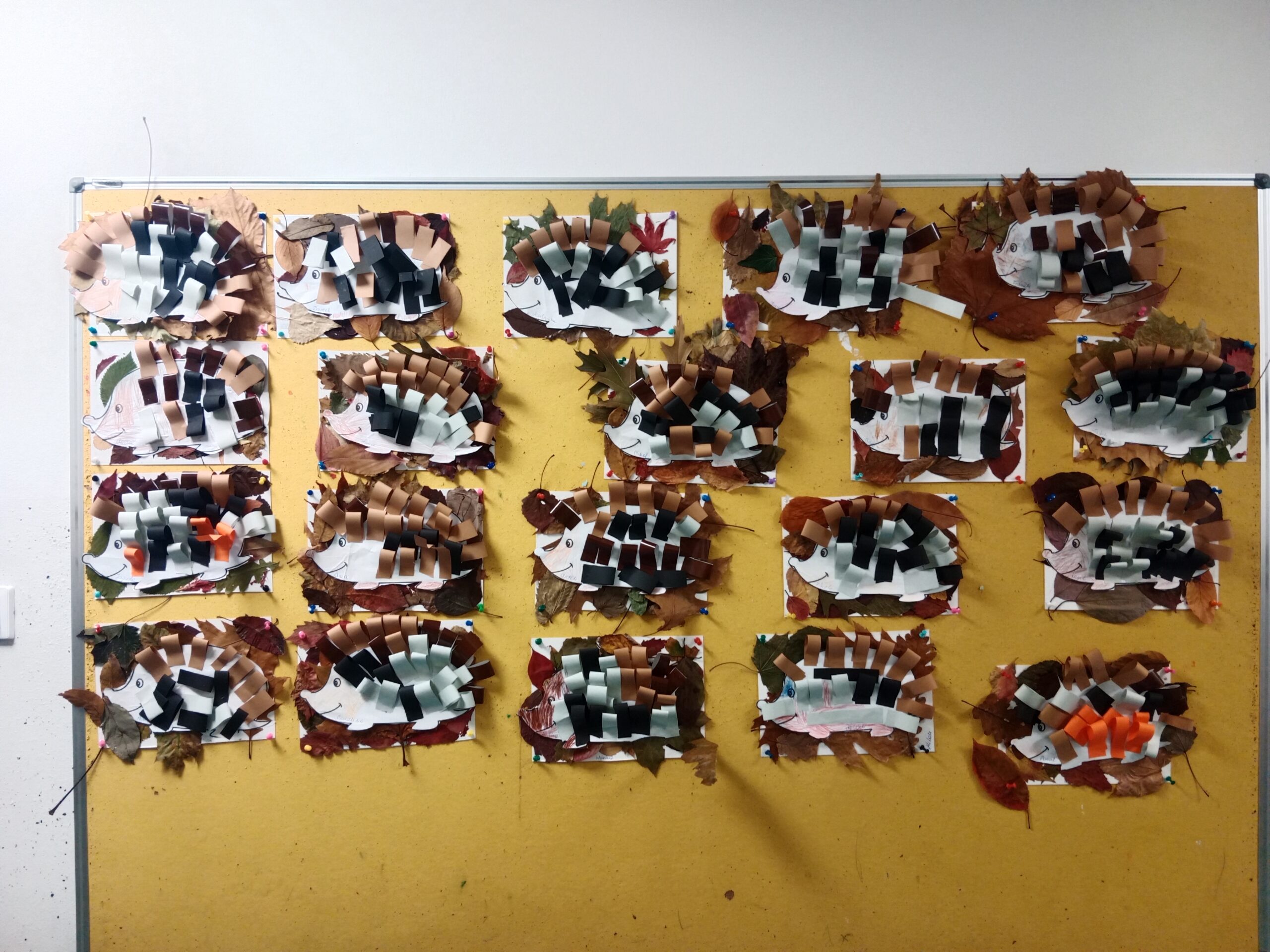 Plastusie- przygotowania zwierząt do zimy