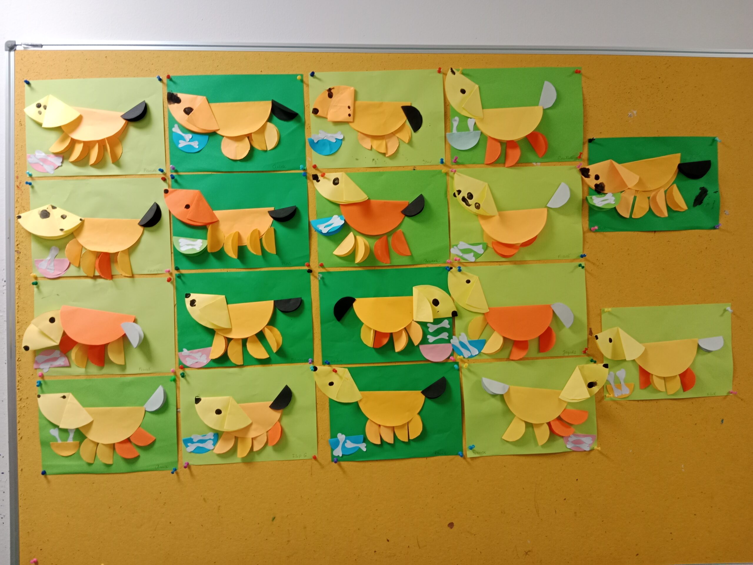 Plastusie- wśród zwierząt