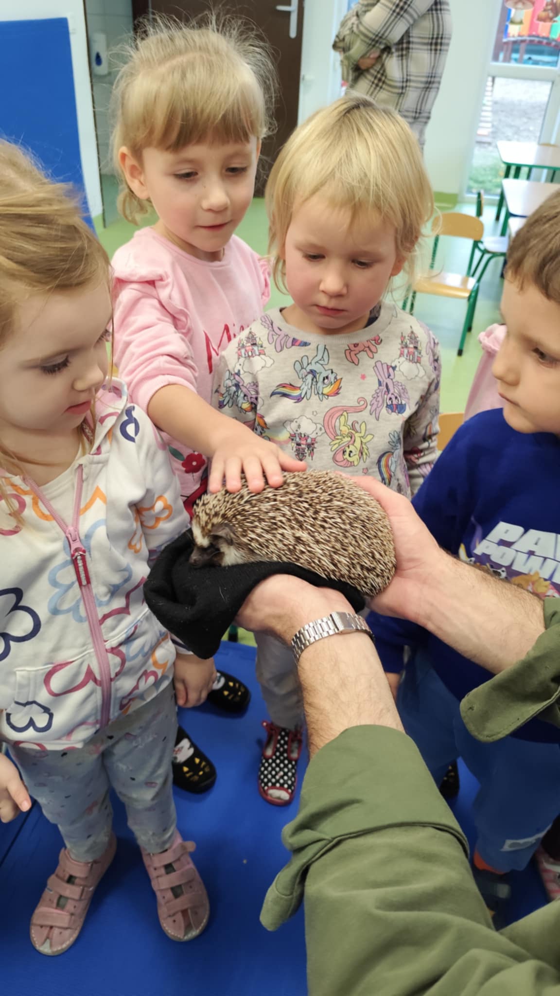 Rok życia jeża  Poszukiwacze i Zdobywcy